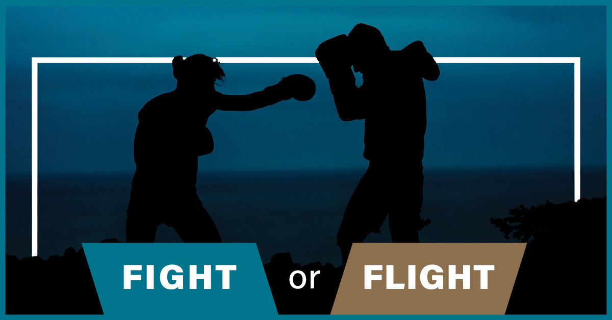 Your Adrenal Glands: More Than “Fight or Flight”